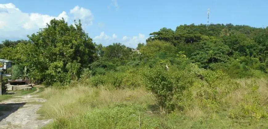 Land for sale in Santa Cruz Jamaica