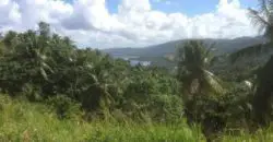 Over 6 acres of land for sale in Portland Jamaica