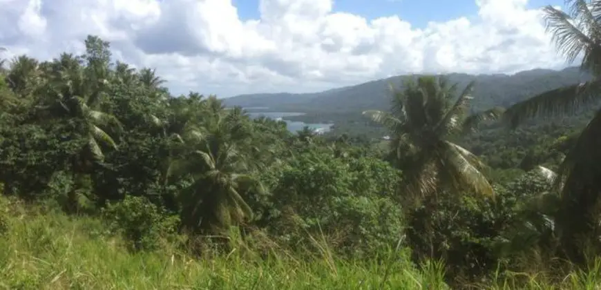 Over 6 acres of land for sale in Portland Jamaica