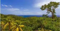 Nestled in the cool San San hills, Melarky is a four bedroom house filled with country charm set over three ivy-covered floors featuring classic Jamaican features and stunning views overlooking San San Bay