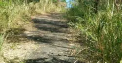 Over 3 acres of land for sale in Cherry Hill Kingston Jamaica