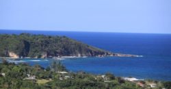 With 1,600 acres, enjoying over 2 miles of seafront, plus a 1 acre island, this is the last privately owned piece of pristine undeveloped land left in Jamaica