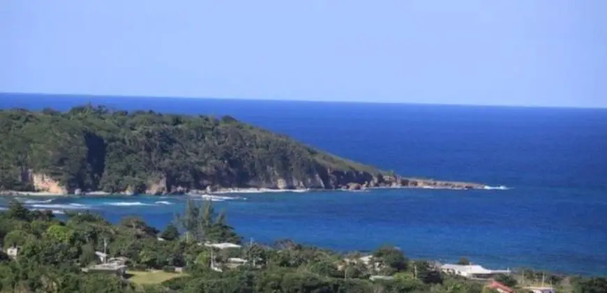 With 1,600 acres, enjoying over 2 miles of seafront, plus a 1 acre island, this is the last privately owned piece of pristine undeveloped land left in Jamaica