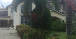 Plantation type Home situated on 6 acres of land that is well fruited for sale