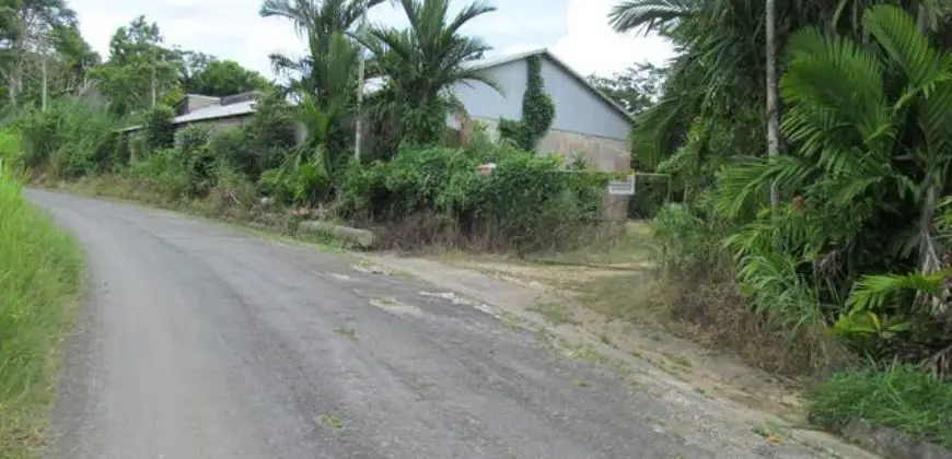 Land for sale that is used for agricultural purposes