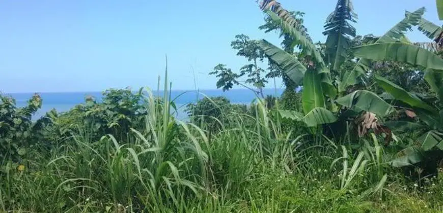 Land with view of the Caribbean Sea in Buff Bay Portland for sale