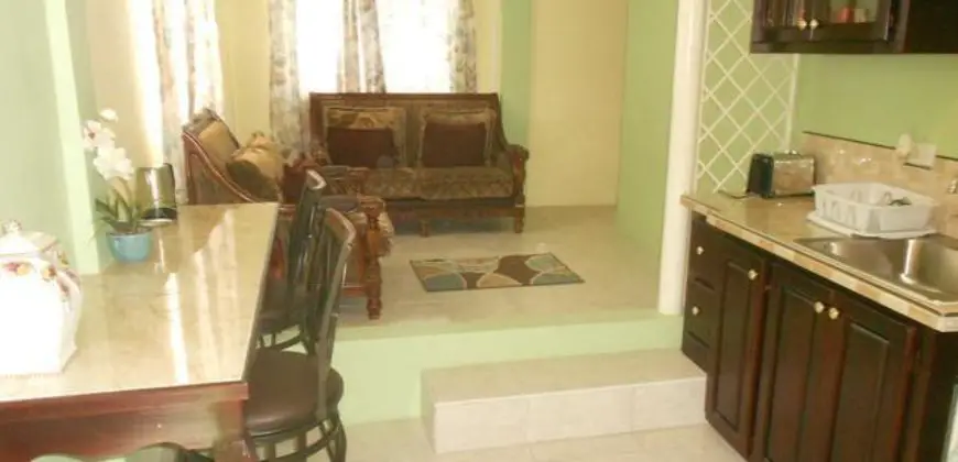 Fully furnished 2 bedroom 2 bath apartment for rental in Havendale Kingston