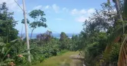 Land with view of the Caribbean Sea in Buff Bay Portland for sale