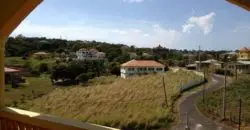 Modernly built house on top of a small hill for sale