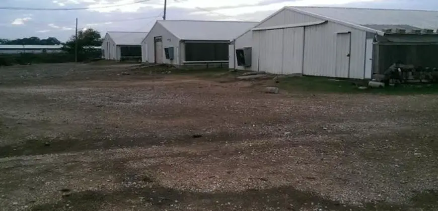 Ultra-Modern Chicken Farm on 4 Acres of land in St Catherine for sale