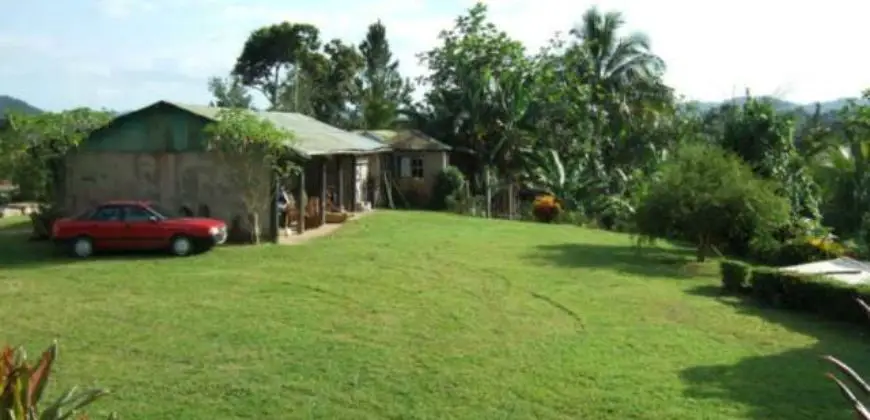 72 Acres Farm inclusive of fully furnished 3 bedroom house, office, storage areas, garage, staff quarters, stables, goat sheds