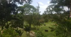 Residential lot in the exclusive community of Upton, Ocho Rios St. Ann. Nearby golf course