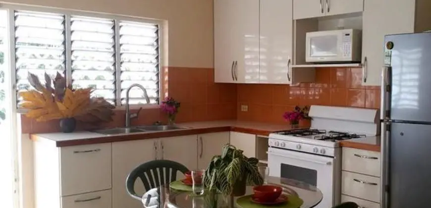 Furnished apartment centrally located in the established Montego Bay neighborhood of Red Hills