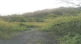 NHT Land for sale in Manchester – Private treaty