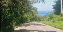 1/3 acre serviced lot located close to the beautiful white sand beach in Trelawny