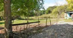 Farm for sale complete with river, fresh water fish pond, farm house and milking station for cows