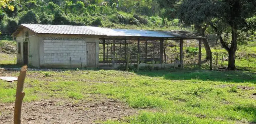 Farm for sale complete with river, fresh water fish pond, farm house and milking station for cows