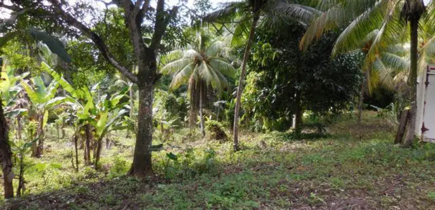 24+ acre of flat fertile farm land for sale with multiple rivers flowing through the property