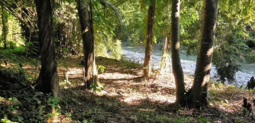 24+ acre of flat fertile farm land for sale with multiple rivers flowing through the property