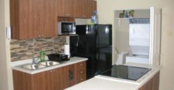 Fully furnished 2-bedroom,1 -bathroom apt in close proximity to New Kingston, schools, supermarkets and medical clinics.