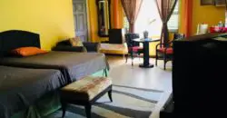 Beautifully furnished studio flat apartment located in Rio Nuevo St Mary for rental