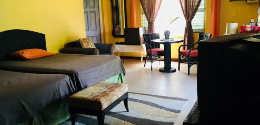 Beautifully furnished studio flat apartment located in Rio Nuevo St Mary for rental