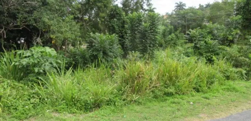 Half acre Lot for sale in the Upscale Community of Coral Gardens, Seller is motivated