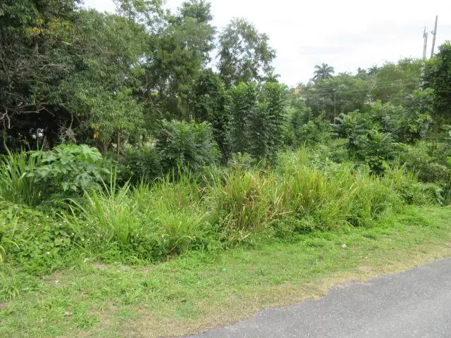 Half acre Lot for sale in the Upscale Community of Coral Gardens ...