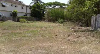 Land for sale in Clarendon, Lot is fairly rectangular and level