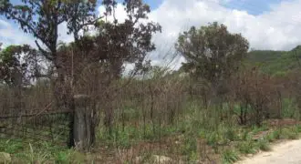 4 acres of flat land for sale, can be used for residential or farming purposes
