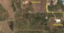 Fully operational citrus and cane farm for sale