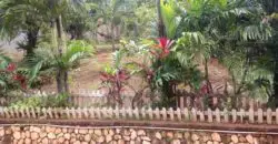 House for sale in the Hills of Stony Hill, property is well fruited and only 10 mins from Manor Park