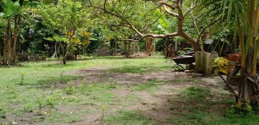 Over 7 acres of land with a rustic one bedroom dwelling, property has coffee and many other fruit trees