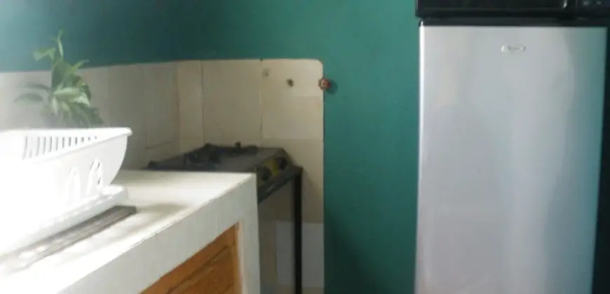 1 Bed 1 Bath furnished apartment in Kingston for rental