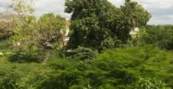 This property is ideal for investment as a possible Guest House. It is Centrally located less than a minute from the Bustamante High Way and about 5 mins from High Way 2000
