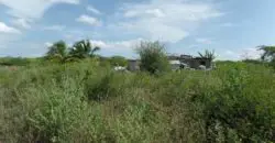 Flat residential lot in developing community. This lot is almost half of an acre.