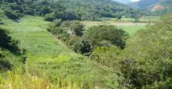 Approximately 170 acres, with 70 acres in hillside/rough land