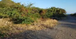 Cheap Beach front, residential Lot in Bull Bay for sale. These lots do not come up for sale very often. make your offer today!