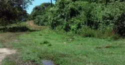 This 4.75+ acres of development land has 3 buildings 2 tenanted and 1 unoccupied. Fit for agricultural and residential development located 20 mins from Santa Cruz and 10 mins to the lust Holland Bamboo drive through