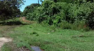 This 4.75+ acres of development land has 3 buildings 2 tenanted and 1 unoccupied. Fit for agricultural and residential development located 20 mins from Santa Cruz and 10 mins to the lust Holland Bamboo drive through