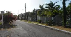 Lovely level 1/4 Acre lot ready to build your dream home, located in a desirable sought after neighborhood called Twin Palm Estate in Clarendon