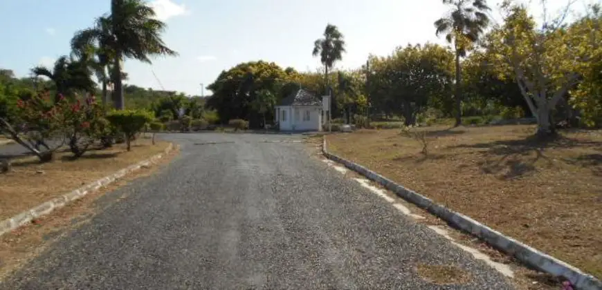 Lovely level 1/4 Acre lot ready to build your dream home, located in a desirable sought after neighborhood called Twin Palm Estate in Clarendon