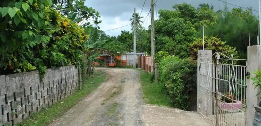 Fixer- Upper house just a few meters away from the busy thoroughfare of king Street, surrounded by three quarter acre of fruitful lands