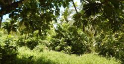 Don’t miss out on the opportunity to develop this 125 acre property into a homestead, agricultural or vacation estate