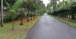 A lovely flat residential lot located in the prestigious development of Mammee Bay Estate for sale