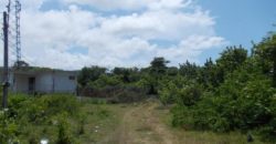 This ocean front property of approximately 14 acres is a hidden gem, Nestled in a corner at the rear of this property is your immediate income earner, (a cell tower) bringing in close to a million dollars JMD per annum