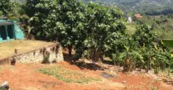 Over 1.4 acres of land with existing house that would be great for development with approval of a mixture of Townhouses and apartments. The land is well fruited; gently sloping and a developers dream!!
