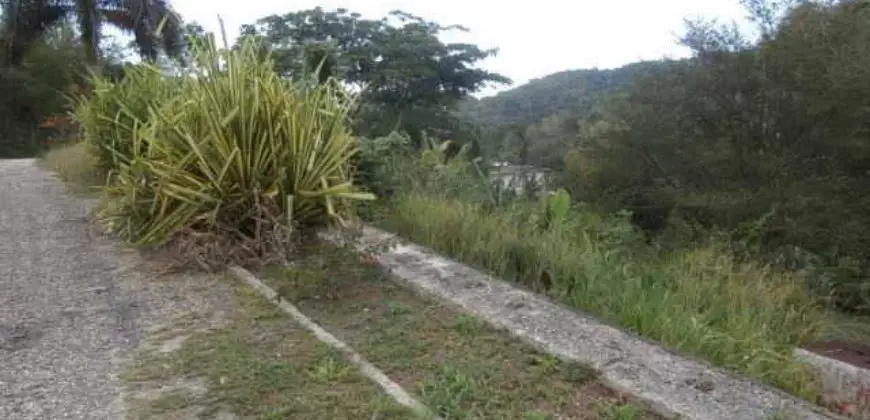 Build your dream home on this north cost lot of 16333.68 sqft. While the lot slopes gently downwards, the area is built-up with well maintained houses.